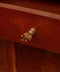 Jana Hand Knob, Brass Cabinet Handle, Furniture DecorDoing GoodsCabinet Handles