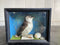 Taxidermy- Victorian Cased Seabird with PebblesVintage Frog