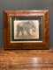 Vintage Framed Reproduction Print of an Elephant Wall Art Picture PrintVintage FrogVintage Art