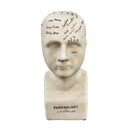 Small Antique Style Ceramic Phrenology Head Bust Figure