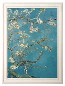 Quality Glass Fronted Framed Print, Almond Blossom - Vincent Van Gogh Set of 2 Prints Framed Wall Art PictureVintage Frog T/AFramed Print