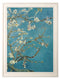 Quality Glass Fronted Framed Print, Almond Blossom - Vincent Van Gogh Set of 2 Prints Framed Wall Art PictureVintage Frog T/AFramed Print