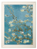 Quality Glass Fronted Framed Print, Almond Blossom - Vincent Van Gogh Set of 2 Prints Framed Wall Art PictureVintage Frog T/AFramed Print