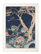 Quality Glass Fronted Framed Print, Blue Blossom Trees Set of 2 Framed Wall Art PictureVintage Frog T/AFramed Print