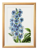 Quality Glass Fronted Framed Print, Blue Floral Illustrations Set of 4 Prints Framed Wall Art PictureVintage Frog T/AFramed Print