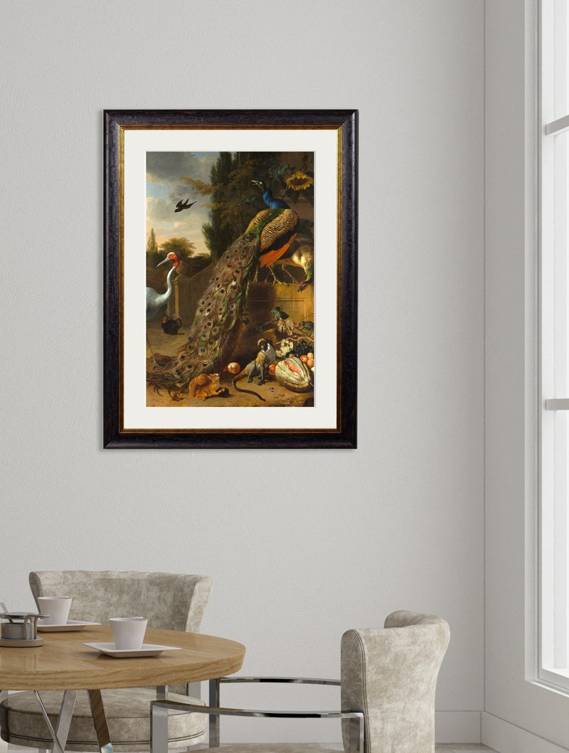 Quality Glass Fronted Framed Print, c.1683 Peacock Painting Framed Wall Art PictureVintage Frog T/AFramed Print