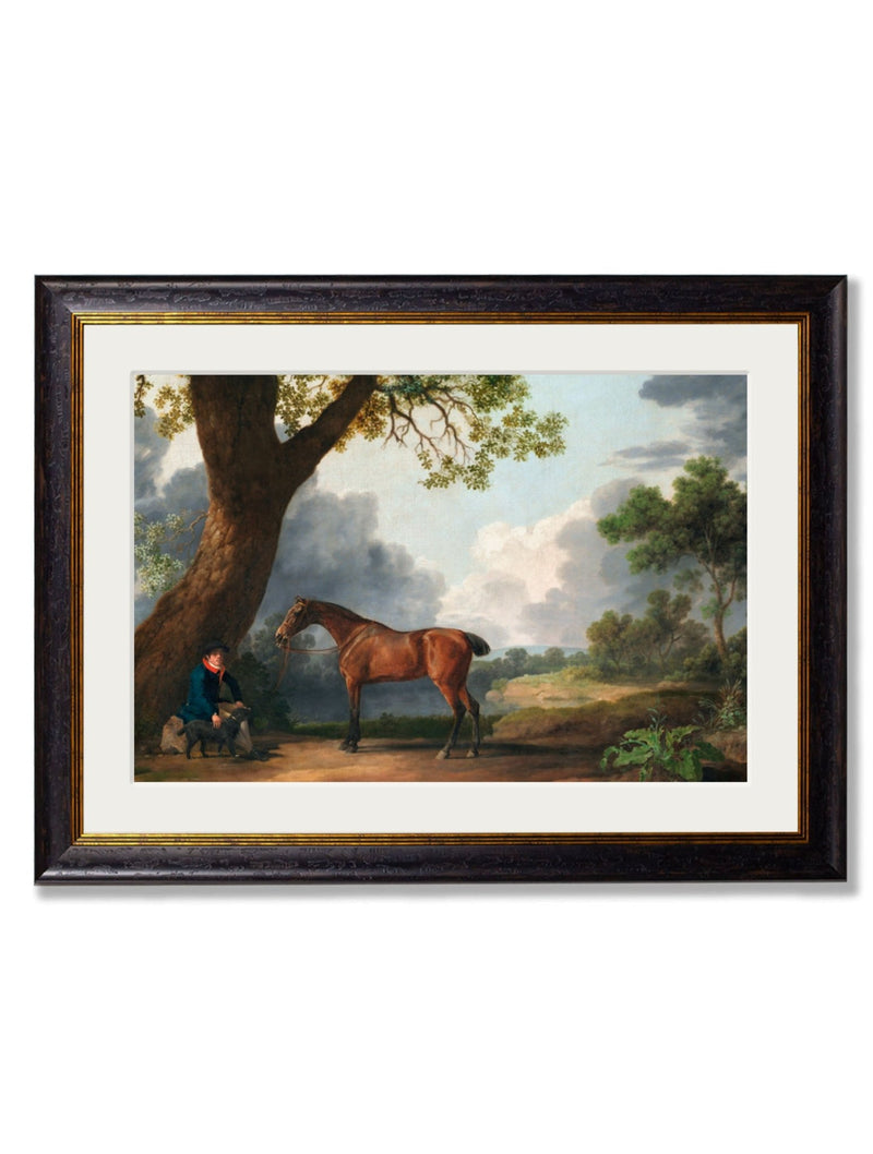 Quality Glass Fronted Framed Print, c.1763 George Stubb's Horse and Groom Framed Wall Art PictureVintage Frog T/AFramed Print