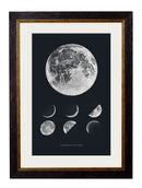 Quality Glass Fronted Framed Print, c.1800 Phases of the Moon Framed Wall Art PictureVintage Frog T/AFramed Print