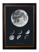 Quality Glass Fronted Framed Print, c.1800 Phases of the Moon Framed Wall Art PictureVintage Frog T/AFramed Print