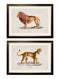 Quality Glass Fronted Framed Print, c.1800s Lion and Lioness Framed Wall Art PictureVintage Frog T/AFramed Print