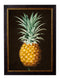 Quality Glass Fronted Framed Print, c.1812 Pineapple Study (Black) Framed Wall Art PictureVintage Frog T/AFramed Print