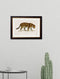 Quality Glass Fronted Framed Print, c.1836 Jaguar Framed Wall Art PictureVintage Frog T/AFramed Print
