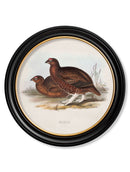 Quality Glass Fronted Framed Print, c.1837's British Game Birds - Round Framed Wall Art PictureVintage Frog T/AFramed Print