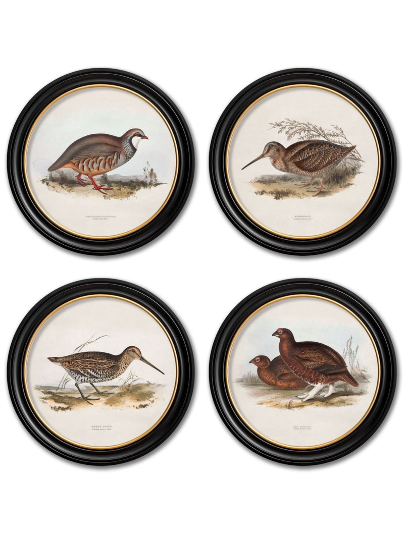 Quality Glass Fronted Framed Print, c.1837's British Game Birds - Round Framed Wall Art PictureVintage Frog T/AFramed Print