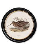 Quality Glass Fronted Framed Print, c.1837's British Game Birds - Round Framed Wall Art PictureVintage Frog T/AFramed Print