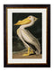 Quality Glass Fronted Framed Print, c.1838 Audubon's Birds of America Framed Wall Art PictureVintage Frog T/AFramed Print