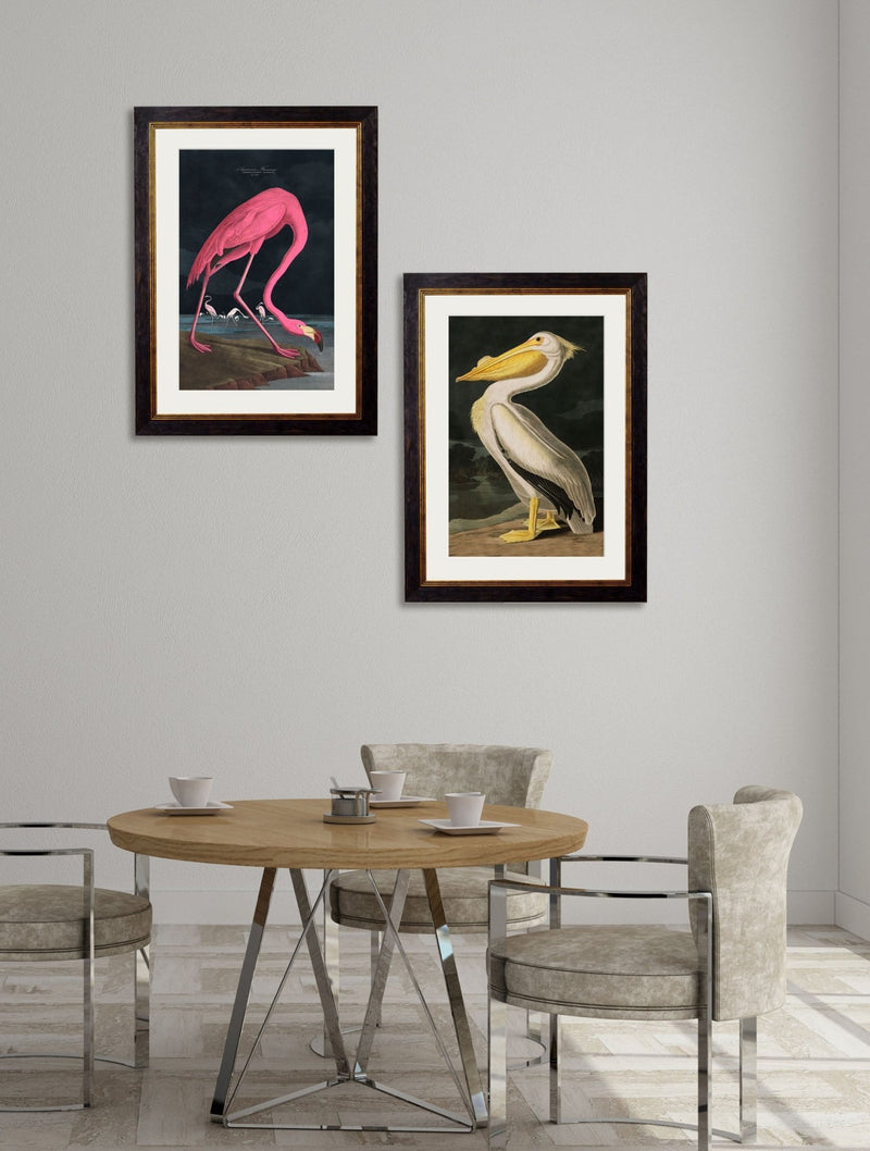 Quality Glass Fronted Framed Print, c.1838 Audubon's Flamingo - Dark Framed Wall Art PictureVintage Frog T/AFramed Print