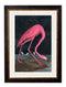 Quality Glass Fronted Framed Print, c.1838 Audubon's Flamingo - Dark Framed Wall Art PictureVintage Frog T/AFramed Print