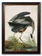 Quality Glass Fronted Framed Print, c.1838 Audubon's Great Blue Heron Framed Wall Art PictureVintage Frog T/AFramed Print