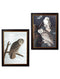 Quality Glass Fronted Framed Print, c.1838 Audubon's Owls Framed Wall Art PictureVintage Frog T/AFramed Print