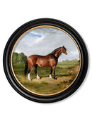 Quality Glass Fronted Framed Print, c.1840 Horses - Round Frame Framed Wall Art PictureVintage Frog T/AFramed Print