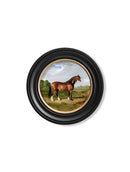 Quality Glass Fronted Framed Print, c.1840 Horses - Round Frame Framed Wall Art PictureVintage Frog T/AFramed Print