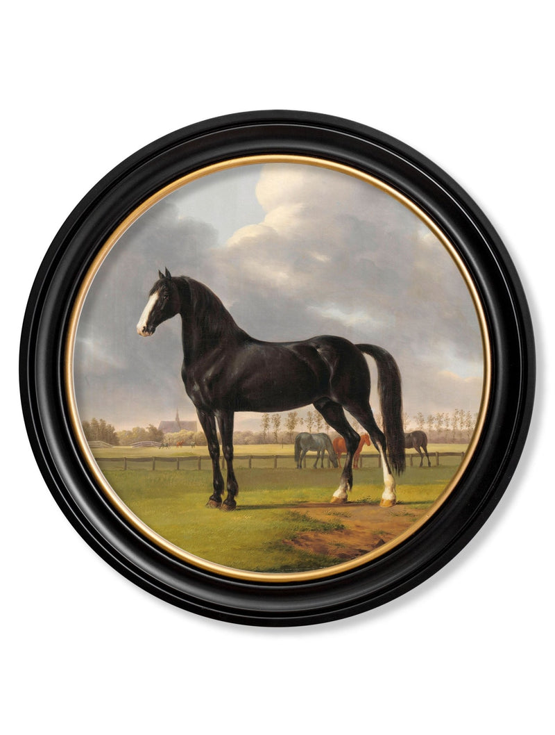 Quality Glass Fronted Framed Print, c.1840 Horses - Round Frame Framed Wall Art PictureVintage Frog T/AFramed Print