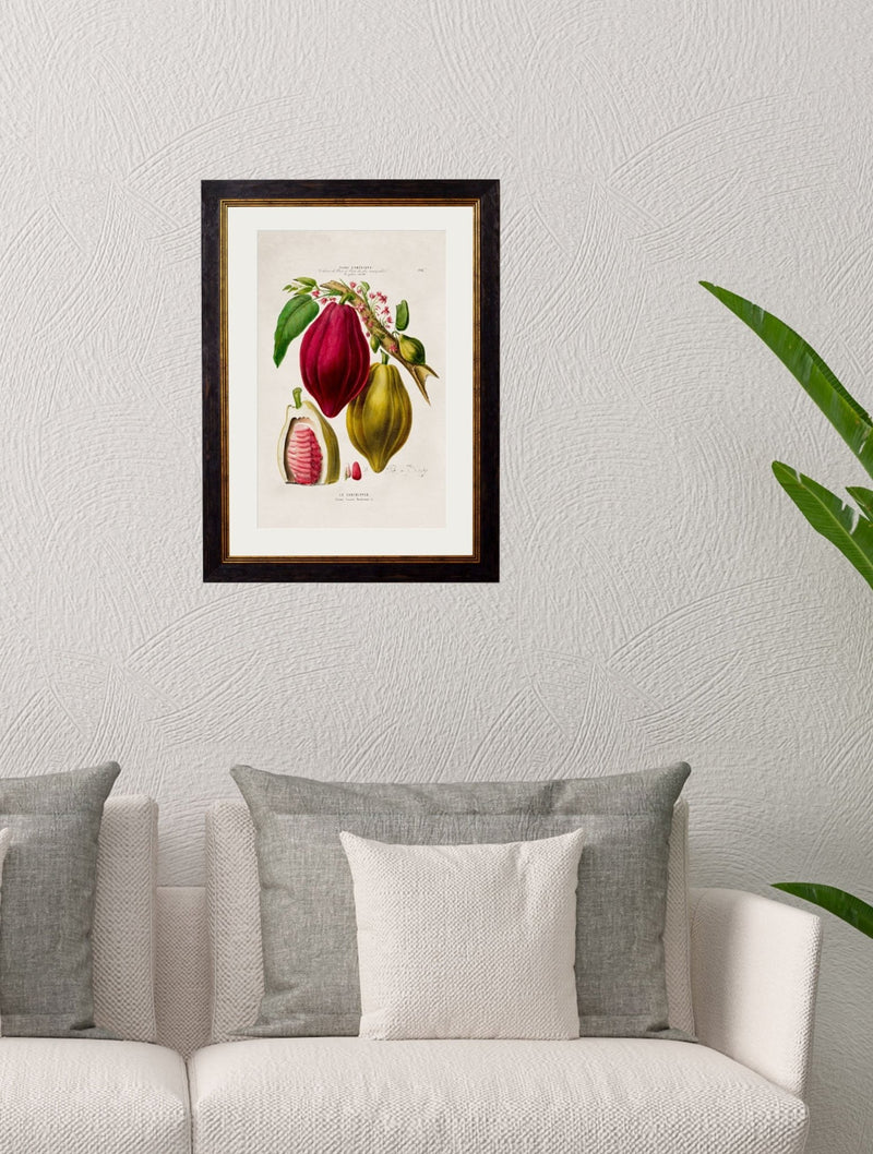 Quality Glass Fronted Framed Print, c.1843 Chocolate Plant Framed Wall Art PictureVintage Frog T/AFramed Print