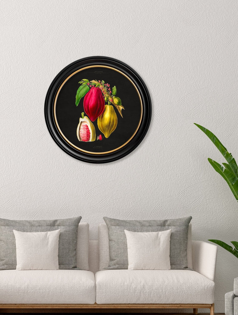 Quality Glass Fronted Framed Print, c.1843 Chocolate Plant - Round Frame - Black Framed Wall Art PictureVintage Frog T/AFramed Print