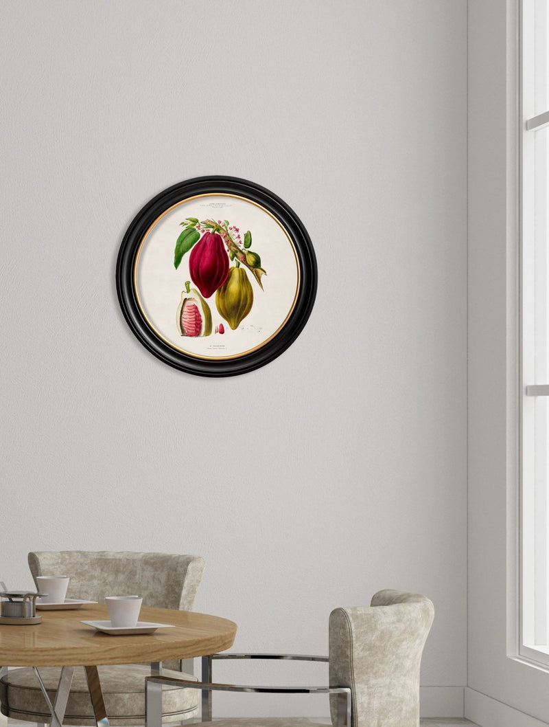 Quality Glass Fronted Framed Print, c.1843 Chocolate Plant - Round Frame Framed Wall Art PictureVintage Frog T/AFramed Print