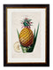 Quality Glass Fronted Framed Print, c.1843 Pineapple Plant Framed Wall Art PictureVintage Frog T/AFramed Print