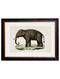 Quality Glass Fronted Framed Print, c.1846 Elephants Framed Wall Art PictureVintage Frog T/AFramed Print