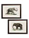Quality Glass Fronted Framed Print, c.1846 Elephants Framed Wall Art PictureVintage Frog T/AFramed Print
