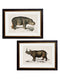Quality Glass Fronted Framed Print, c.1846 Rhino & Hippo Framed Wall Art PictureVintage Frog T/AFramed Print