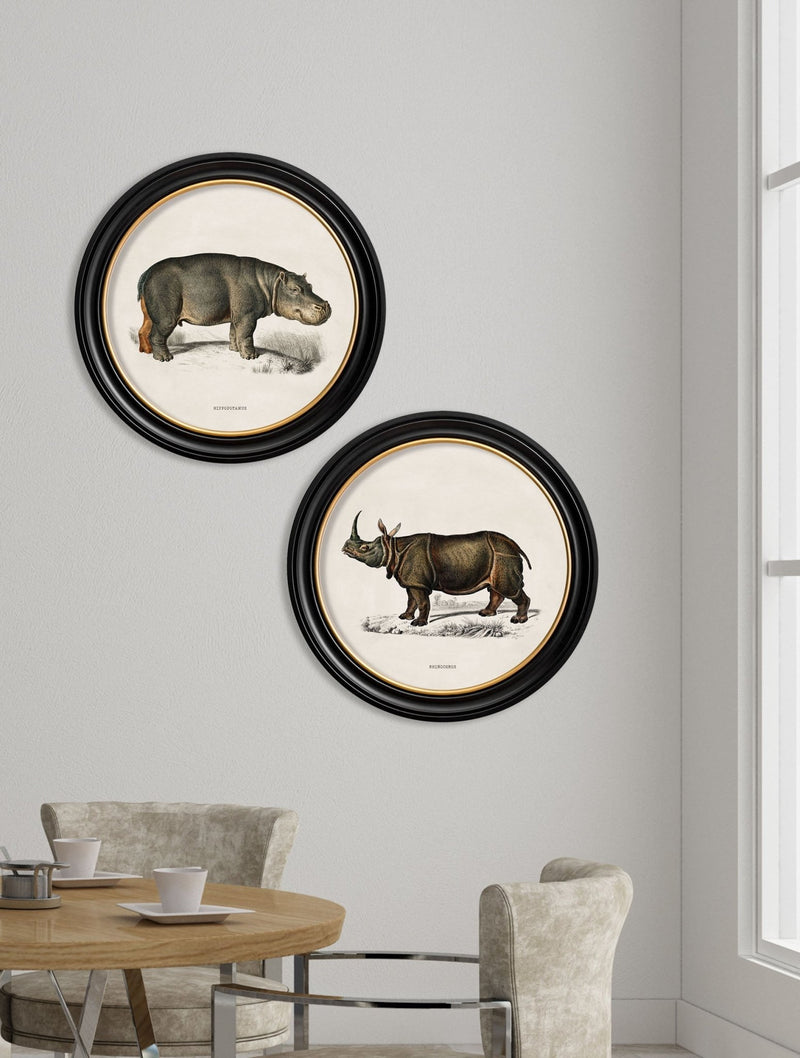 Quality Glass Fronted Framed Print, c.1846 Rhino & Hippo - Round Frames Framed Wall Art PictureVintage Frog T/AFramed Print