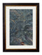 Quality Glass Fronted Framed Print, C.1850 British Geology Maps Framed Wall Art PictureVintage Frog T/AFramed Print