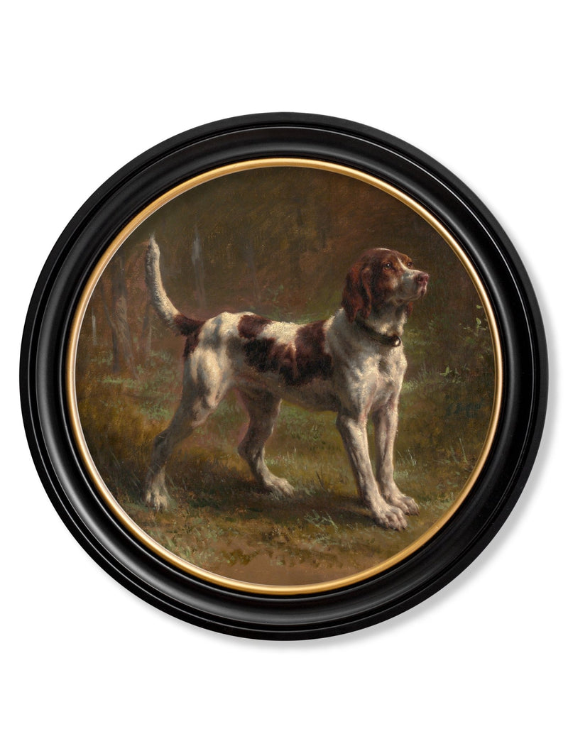 Quality Glass Fronted Framed Print, c.1856 Beagle Bloodhound - Round Frame Framed Wall Art PictureVintage Frog T/AFramed Print