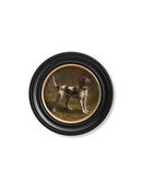 Quality Glass Fronted Framed Print, c.1856 Beagle Bloodhound - Round Frame Framed Wall Art PictureVintage Frog T/AFramed Print