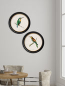 Quality Glass Fronted Framed Print, c.1870 Kingfisher and Bee Eater Framed Wall Art PictureVintage Frog T/AFramed Print