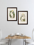 Quality Glass Fronted Framed Print, c.1875 Cockatoos Framed Wall Art PictureVintage Frog T/AFramed Print