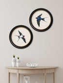 Quality Glass Fronted Framed Print, c.1875 Swallows in Round Frames Framed Wall Art PictureVintage Frog T/AFramed Print