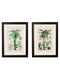 Quality Glass Fronted Framed Print, c.1877 Tropical Plants Used as Food and Clothing Framed Wall Art PictureVintage Frog T/AFramed Print