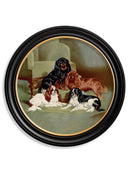 Quality Glass Fronted Framed Print, c.1881 Dogs - Round Frame Framed Wall Art PictureVintage Frog T/AFramed Print