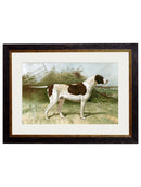 Quality Glass Fronted Framed Print, c.1881 Gun Dogs Framed Wall Art PictureVintage Frog T/AFramed Print