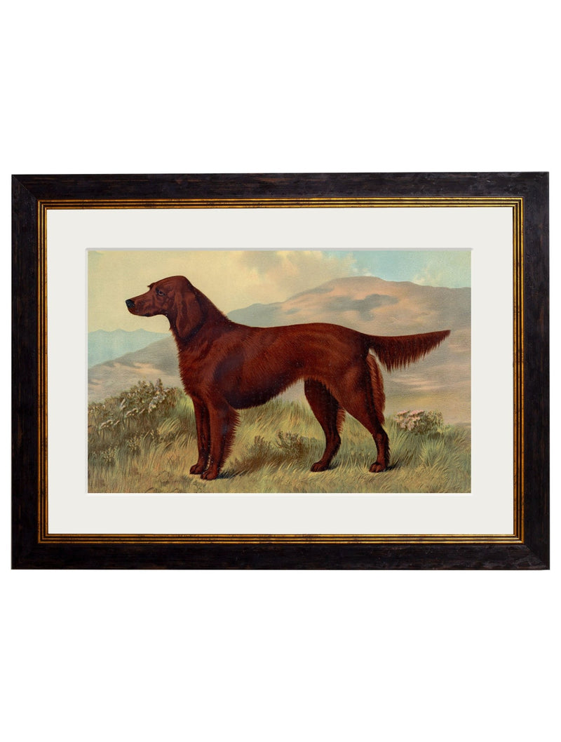 Quality Glass Fronted Framed Print, c.1881 Working Dogs Framed Wall Art PictureVintage Frog T/AFramed Print
