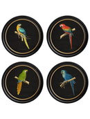 Quality Glass Fronted Framed Print, C.1884 Collection of Macaws in Round Frames - Black Framed Wall Art PictureVintage Frog T/AFramed Print