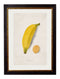 Quality Glass Fronted Framed Print, c.1886 Studies of Fruit Framed Wall Art PictureVintage Frog T/AFramed Print