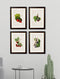 Quality Glass Fronted Framed Print, c.1886 Study of Berries & Cherries Framed Wall Art PictureVintage Frog T/AFramed Print