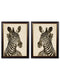 Quality Glass Fronted Framed Print, c1890 Zebra Illustrations - Dark Framed Wall Art PictureVintage Frog T/AFramed Print