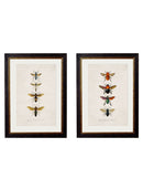Quality Glass Fronted Framed Print, c.1892 Bees and Wasps Framed Wall Art PictureVintage Frog T/AFramed Print